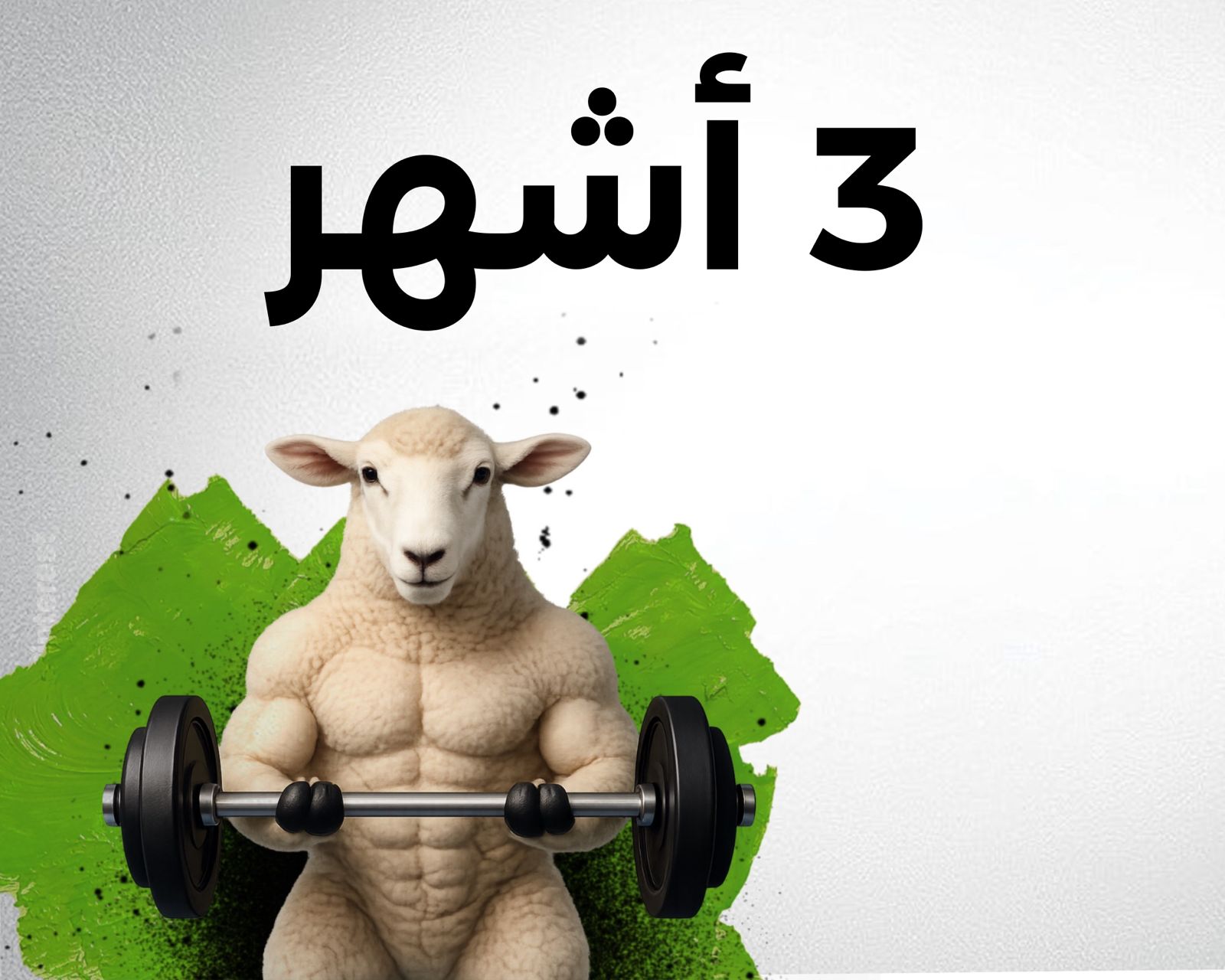 اشتراك لمدة 3 اشهر + شهر مجانا + 20 يوم تجميد
