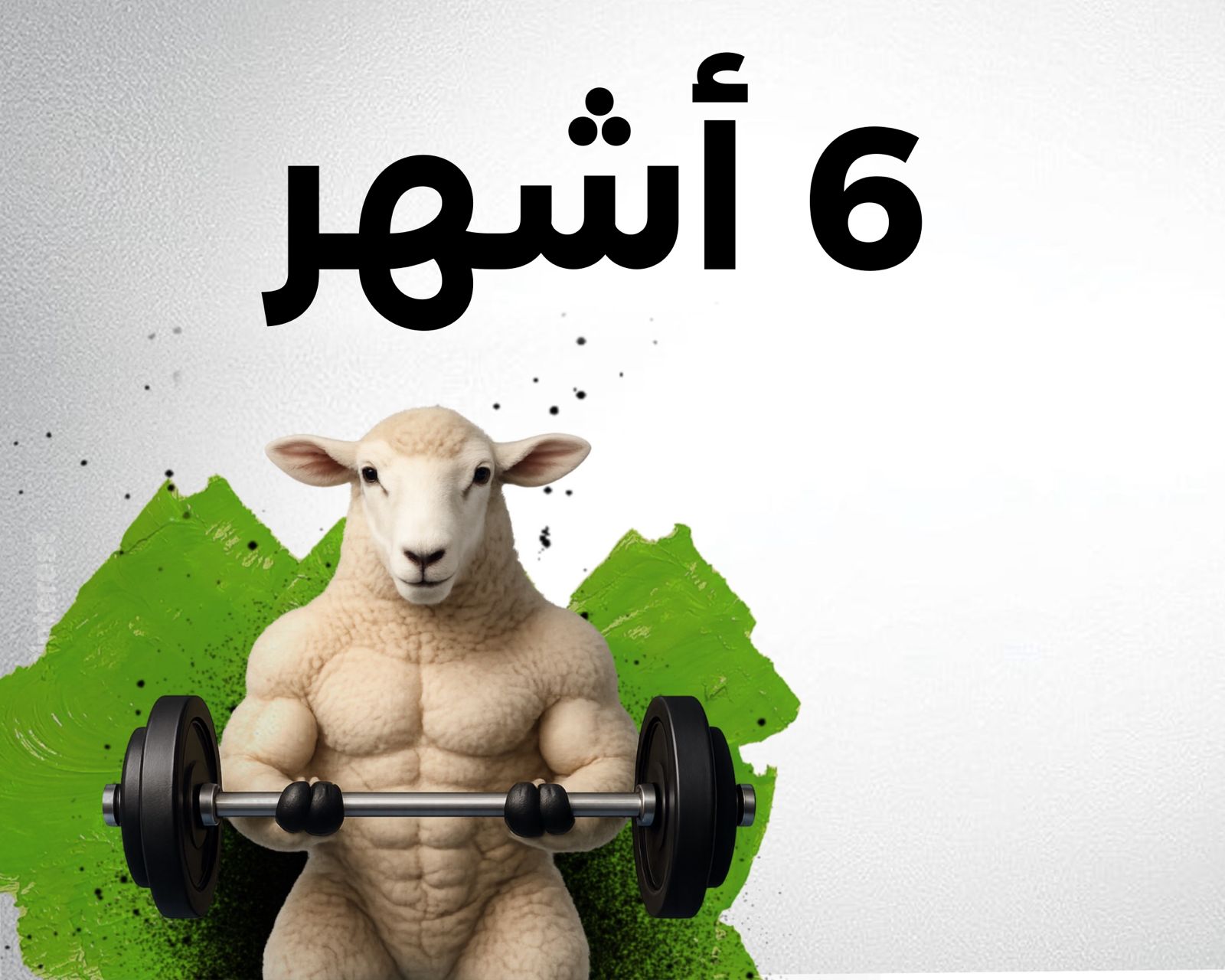 اشتراك لمدة 6 اشهر  + شهر مجانا +40 يوم تجميد